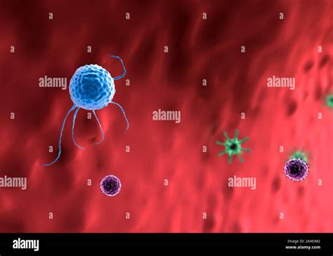 inside the human body, medical 3D graphics Stock Photo - Alamy