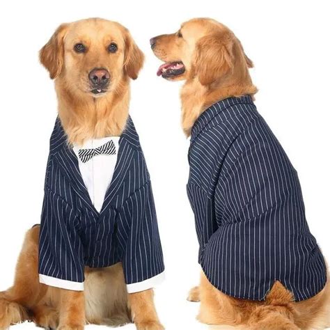 Classic Suit Costume For Medium And Larger Dogs 5 Sizes