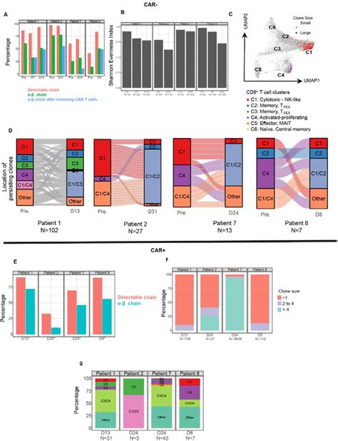 Car And Car T Cells Differentiate Into An Nk Like Subset That Is