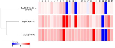 Frontiers Modulation Of Tomato Response To Rhizoctonia Solani By