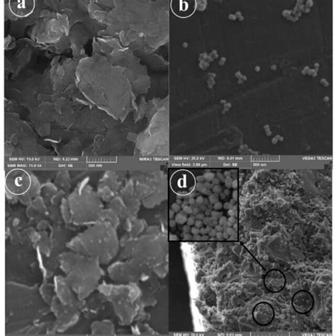 Sem Micrographs Of A Initial Mmt B Sno Nanoparticles C Sno