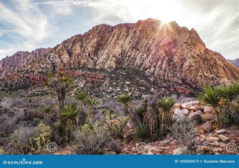 Wiosna Rancho Stanu Halny Park Nevada Usa Obraz Stock Obraz