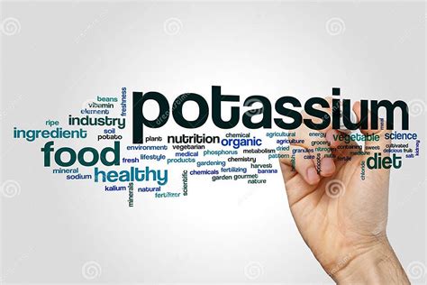 Potassium Word Cloud Stock Image Image Of Cloud Minerals 88380665