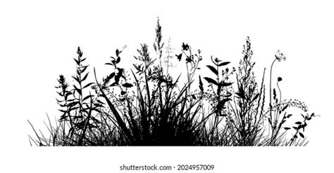 Black Silhouettes Grass Flowers Herbs Isolated Stock Vector Royalty Free 2269079347 Shutterstock