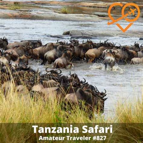 Luxury Safari Tanzania (Podcast)