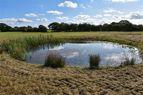 Great Crested Newt Licensing Project - Habitat Regeneration