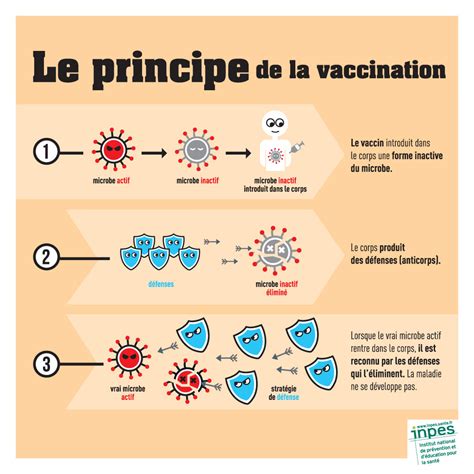 La vaccination ou comment aider le corps à se défendre santé