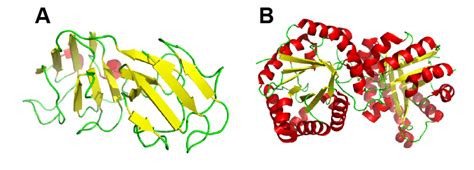 51 Proteins Biology Libretexts