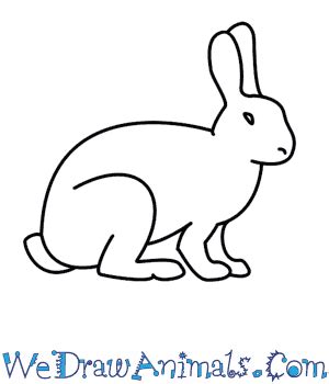 How To Draw A Rabbit