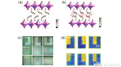 发光学报 新结构高表现的钙钛矿x射线探测器 澎湃号·湃客 澎湃新闻 The Paper