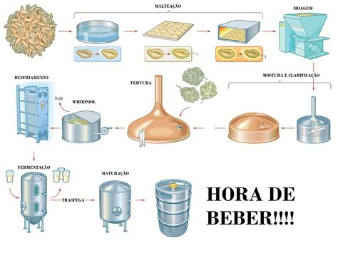 Resumo Processo De Produ O Beer Making Process Beer Brewing Process