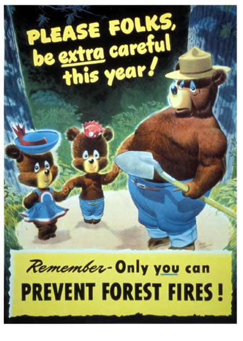 Smokey Bear Turns 75 Why The Wildfire Icon Matters Now More Than Ever