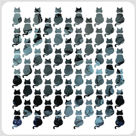 cat   colorful life designs