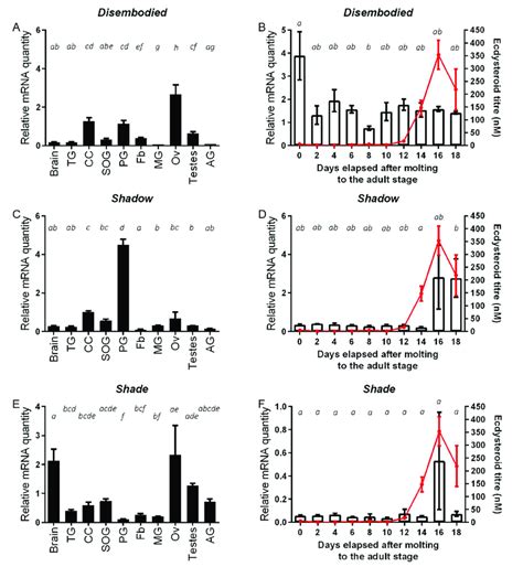 Tissue And Temporal Distribution Of Schgrdib Schgrsad And Schgrshd