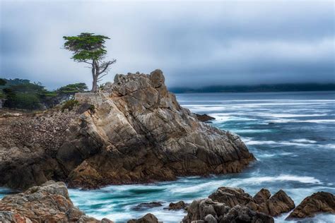 Visiting The Lone Cypress Tree