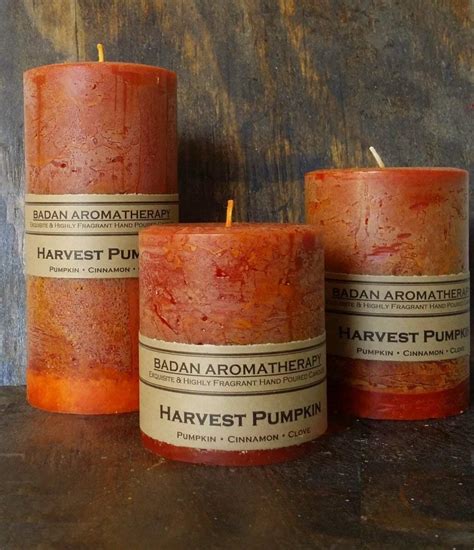 Amazon Harvest Pumpkin Spice Cinnamon Clove Scented Pillar Candle