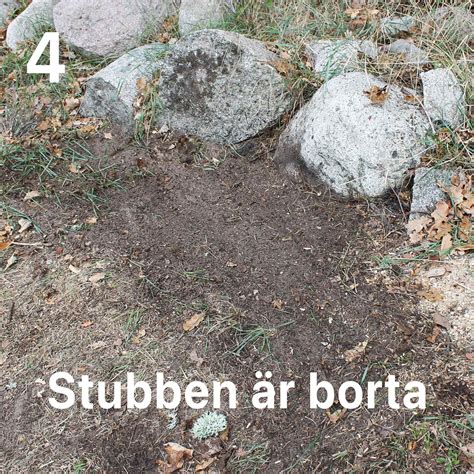 Stubbskorstenen™ - Ta bort stubbar enkelt & snabbt - Byggahus.se Shop