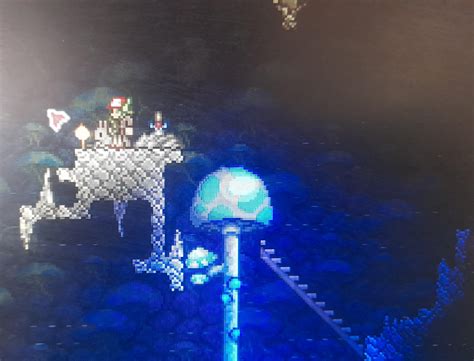I found the enchanted sword in a mushroom biome : r/Terraria
