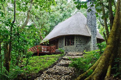 Best Lodges In Virunga National Park Uganda Rwanda Congo Safaris