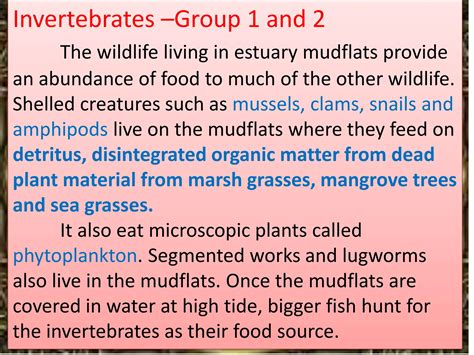 Grade 5 Ppt Science Q2 W9 Day 1 5 Pptx