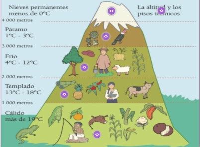 Imagen Interactiva Pisos Clim Ticos Del Ecuador Guano Isaac A