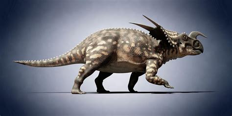 Einiosaurus Photograph by Sciepro - Pixels