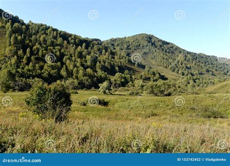 Early Morning in the Mountains of Altai Krai. Western Siberia Stock ...