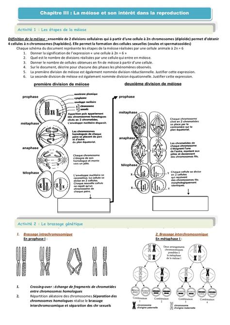 Chapitre 3 La méiose PDF par tama Fichier PDF