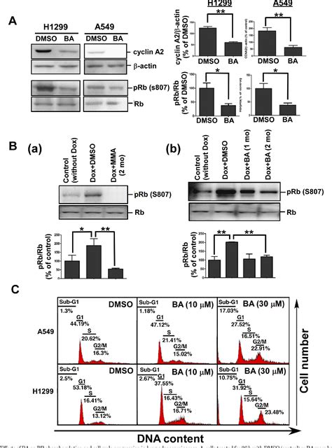 Figure From Betulinic Acid Decreases Specificity Protein Sp