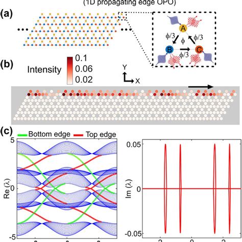 Chiral Topological Parametric Oscillation A Schematic Of An