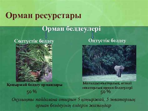 Орман ресурстары Орман ресурстары n Дж орман