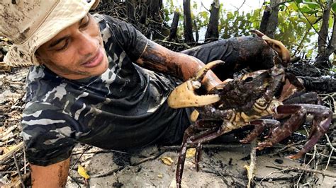 Capturando E Comendo Caranguejo No Mangue Crab Trap Youtube