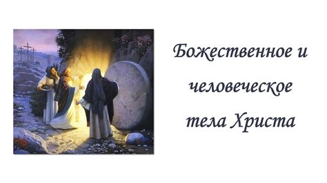 Божественное и человеческое тела Христа - YouTube