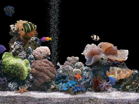 View Ecran Anime Fond Decran Aquarium Qui Bouge Gratuit