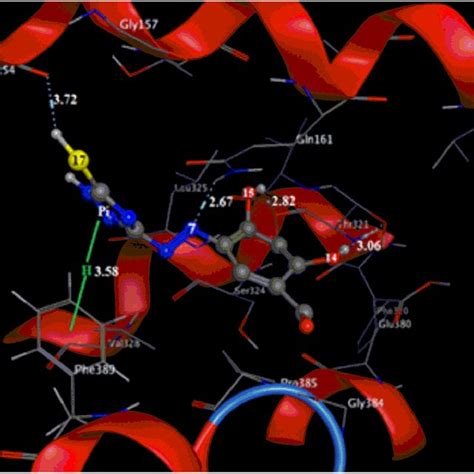 The structure of the azo‐compound | Download Scientific Diagram