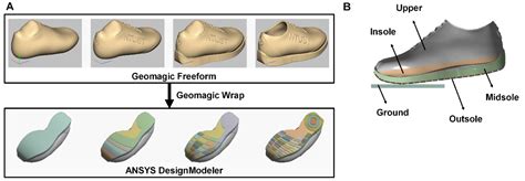 Applied Sciences Free Full Text A Biomechanical Investigation Of