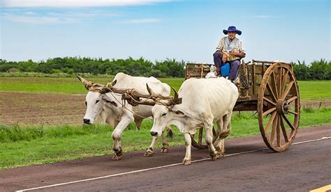 The Culture Of Paraguay