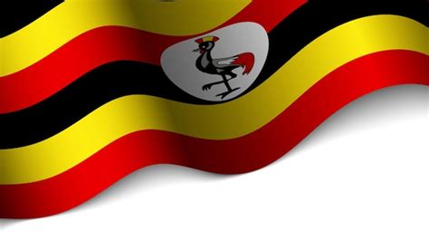 Vector coração patriótico bandeira de uganda um elemento de impacto