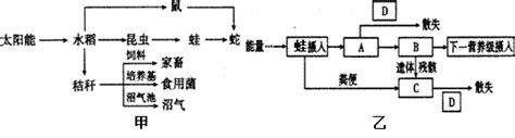 2．农业生态系统的主要组成成分是 A．人 B．人工种植的农作物 C．人工种养的生物 D．人工养殖的动物——青夏教育精英家教网——