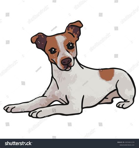 2,892 Jack Russell Terrier Drawing Images, Stock Photos & Vectors
