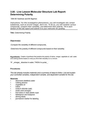 4 06 Reactions In Our World Lab Report 4 Reactions In Our World Lab