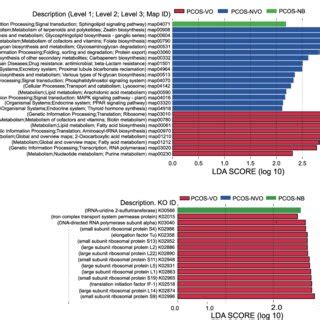 Functional Annotation Of Gut Microbiota Of Pcos Patients From