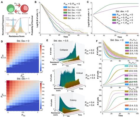 Effect Of Heterogeneity And Plasticity On Tumor Survival In The