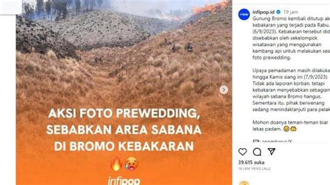 Viral Aksi Foto Prewedding Diduga Penyebab Hingga Area Sabana Gunung