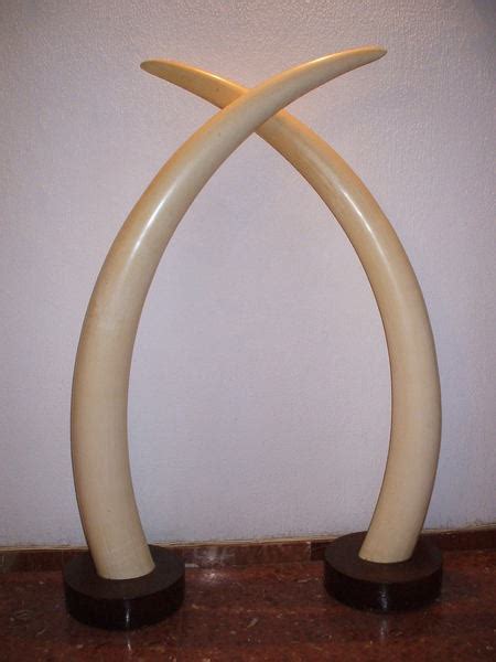 Elephant tusks for sale For Sale | Antiques.com | Classifieds