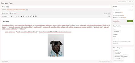 posts creating  page