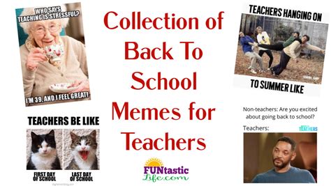 Collection of Back To School Memes for Teachers - Funtastic Life