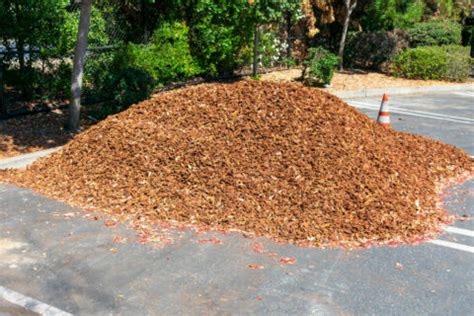 Mulch Calculator How Much Mulch Do I Need Tip Top Tree Services