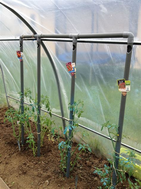 Arrosage Des Plants De Tomates En Serre Maison Jardin