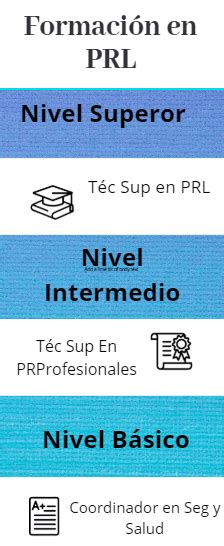 Formaci N En Prevenci N De Riesgos Laborales Niveles Prl